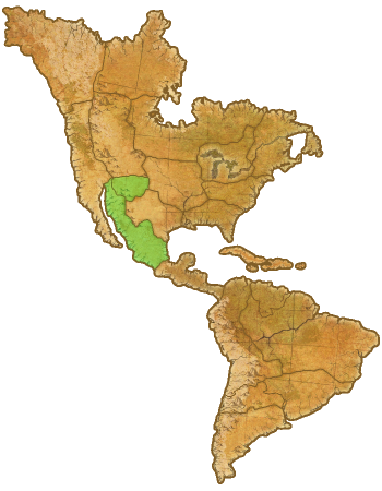 Карта областей расселения навахо в Америке